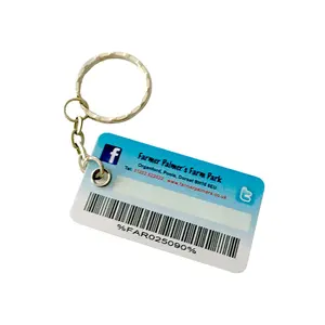 Custom die cut abnormity plastic keychain PVC cards RFID tag plastic keychain with metal ring