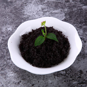 Toptan japon gıda dondurulmuş deniz ürünleri balık karaca (ebiko) HACCP/ISO/lal/ab sertifikalı XIAMEN doğu okyanus gıdalar CO. LTD. Çanta kutusu - Product Image 5