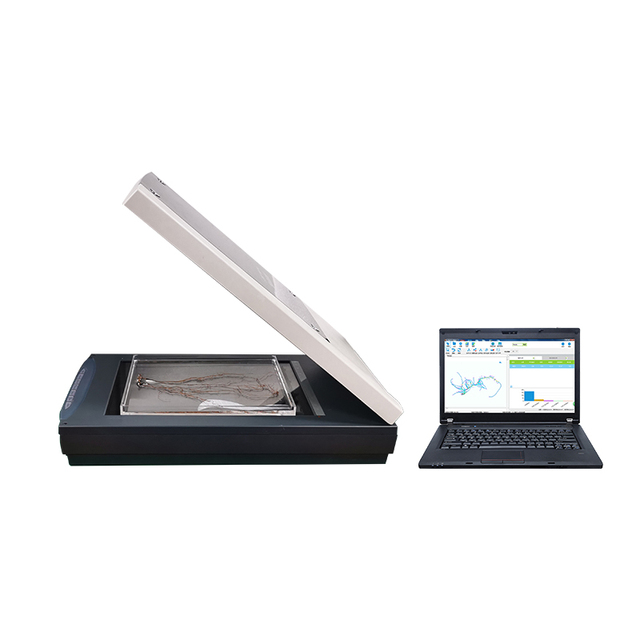 Plant Root Phenotype Analysis System with High Accuracy