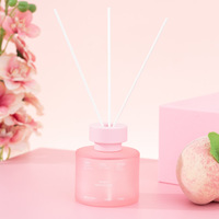 Ensemble d'aromathérapie, diffuseur d'huiles essentielles pour la maison, bouteille en verre de 100 ml, diffuseur de parfum de luxe, rafraîchisseur d'air pour la maison, la voiture, le bureau, l'hôtel