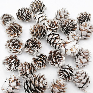 Adornos de Piñas de Pino en Miniatura de 1.5-4cm, Madera Seca Blanca, Decoración para Árbol de Navidad, Suministros para Manualidades - Product Image 2