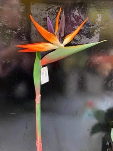 <span class=keywords><strong>Fleurs</strong></span> de <span class=keywords><strong>Strelitzia</strong></span> artificielles en soie tropicale pour la décoration de la maison - Product Image 6