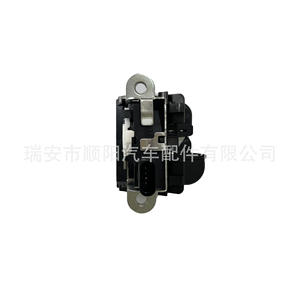 Cerradura de Maletero, Bloqueo de Puerta Trasera 6F0827505 para Sias, Repuesto, Número de Pieza SY 071 - Product Image 4