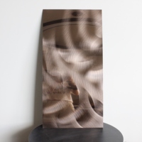 Feuille de métal en acier inoxydable de qualité supérieure 304 316, finition laser 3D, pour mur intérieur décoratif