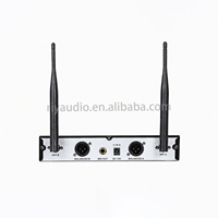 Système de microphone sans fil UHF 2 canaux LN-1000 avec micros portatifs et boîte colorée pour salle de karaoké, fête en plein air, scène, maison