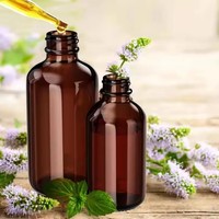 Vente en gros de 15ml 30ml 60ml 120ml 250ml 500ml 1000ml Bouteilles rondes en verre Boston brun ambré clair avec bouchon en plastique noir