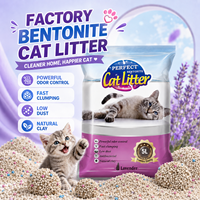 Litière pour chat en bentonite écologique, fabrication en usine, agglomération rapide, contrôle des odeurs, sans poussière, forme sphérique, parfums personnalisés