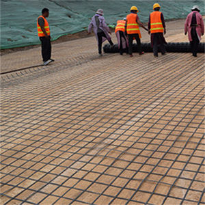 מחיר נמוך לספק כוח גבוה פוליפרופילן 20kn 30kn 40kn בניין רשת רשת geogrid biaxial חיזוק כבישים - Product Image 4