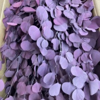 Fleurs décoratives en gros du Yunnan, feuilles d'eucalyptus séchées naturelles de haute qualité, eucalyptus Pupulus préservé pour la décoration de Noël