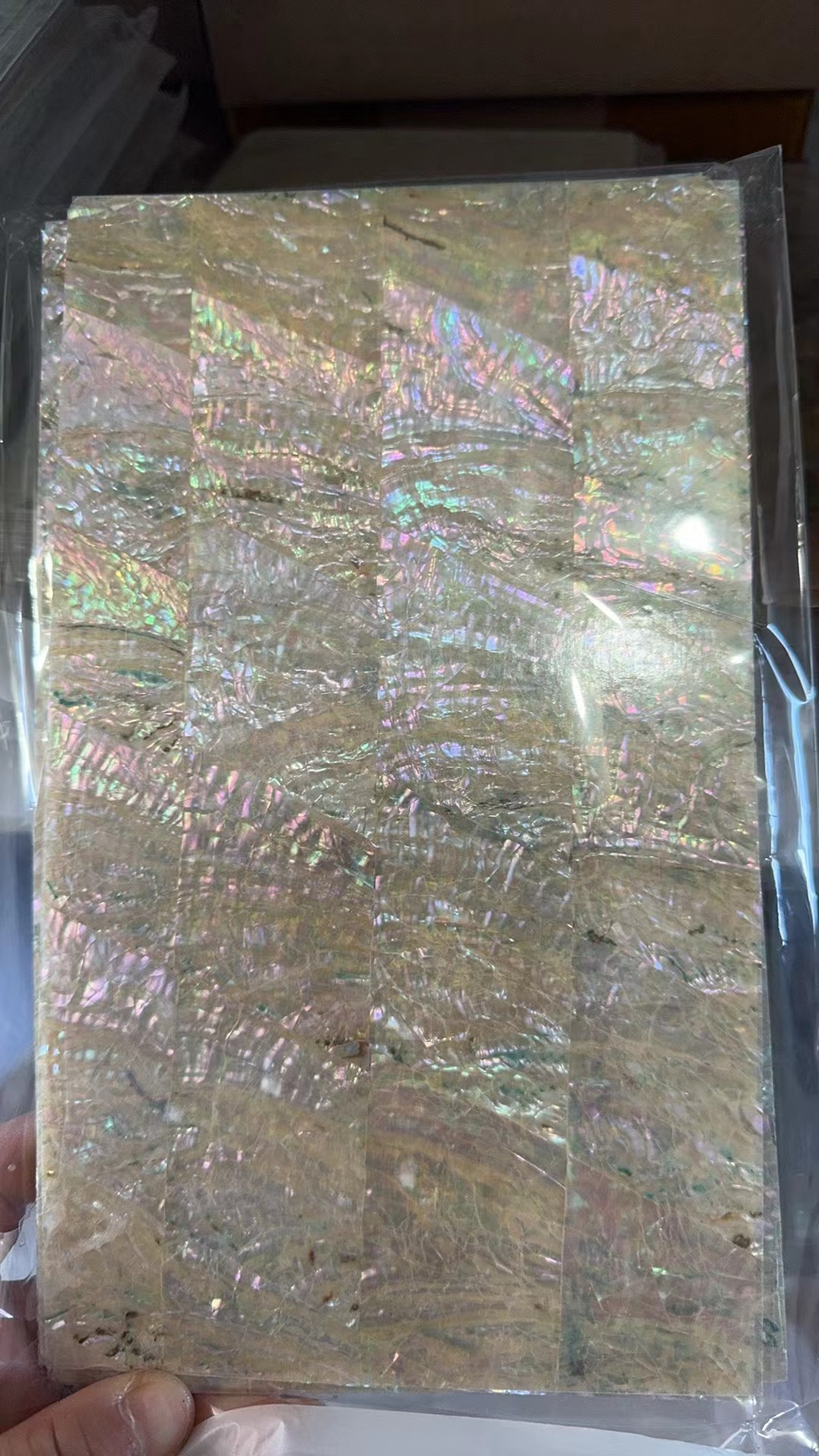 ธรรมชาติญี่ปุ่น awabi