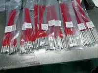 Cartouche chauffante pour la vulcanisation des moules en caoutchouc, élément chauffant en acier inoxydable 220V, fabrication chinoise