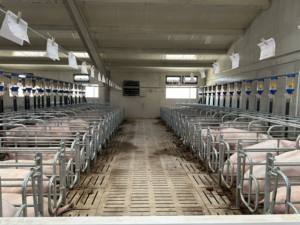 Hoge Kwaliteit Nieuwe Deba Broer Varkensboerderij Draagkratten & Varkenskooien Varkenskooien Varkensfokapparatuur Hot-Dip Gegalvaniseerd Lange Levensduur - Product Image 2