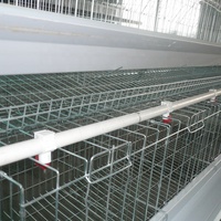 Système de conception à un prix abordable, niche pour animaux de volaille, ferme, couche d'œufs, Cage pour poules et bébés poussins