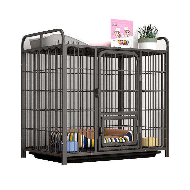 กรงสุนัข #2