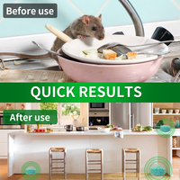Répulsif anti-nuisibles pour garage intérieur et extérieur, boules de menthe poivrée longue durée, pastilles d'huile de menthe naturelle, lot de 12, dissuasif pour souris et rats pour la maison