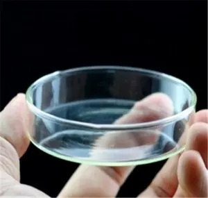 aquarium cristal bol Suppliers-Mnft-60 verre à crevettes en cristal pour Aquarium, plat d'alimentation, bol d'alimentation 60mm