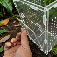 Terrarium en acrylique anti-évasion à haute transparence avec fermeture magnétique pour reptiles, araignées domestiques, araignées sauteuses, mantes religieuses