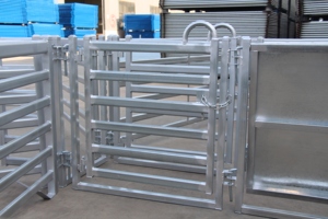 Ganado equipos ovejas patio ovejas aplastar - Product Image 5