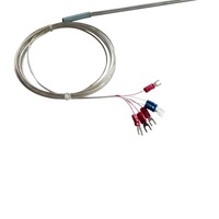 Sonde de température de type duplex en acier inoxydable à 6 fils Pt100 RTD avec câbles en PTFE, fabriquée par un fabricant avec 29 ans d'expérience