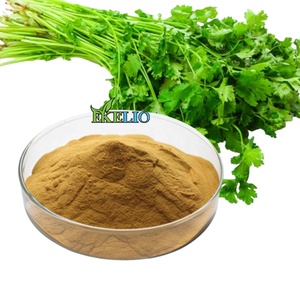 Phụ gia thực phẩm nguyên liệu rau mùi lá chiết xuất bột - Product Image 1