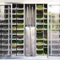 Plateau de germination pour semences de légumes verts, de blé, de germe de soja, de graminées, de fourrage pour animaux, 220v