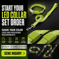 Collier pour chien en caoutchouc PVC avec étiquette privée, longue laisse, ligne réfléchissante blanche, résistant aux intempéries pour chiens