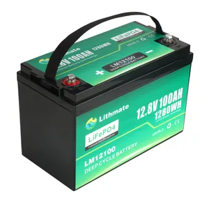 STATI UNITI Europa di vendita caldo Solare Marine RV 12v 100ah lifepo4 batteria al litio