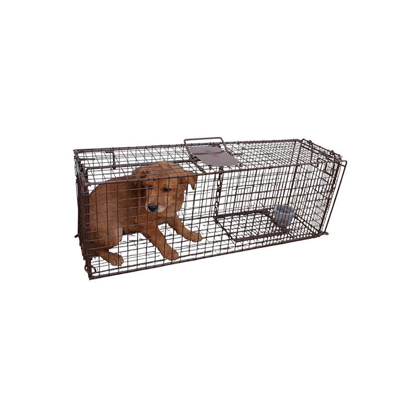 Best Selling Cat Cage Traps Humane Live Animal Control Solutions
