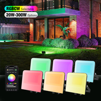 Lámpara Proyector LED de Alta Luminosidad, Impermeable IP65, 50W-300W, para Exteriores y Almacenes