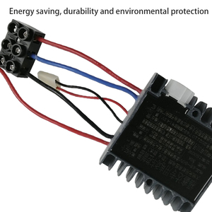 ชุดมอเตอร์แบบแปรงถ่าน 48V 1000W และชุดควบคุม |   สำหรับรถสามล้อบรรทุกสินค้า |   มอเตอร์กระตุ้นแบบซีรีส์ 48V 1000W มอเตอร์กระแสตรงแบบแปรงถ่านและตัวควบคุม - Product Image 3