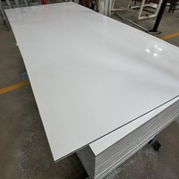 Gabarit de construction léger en PVC durable pour la réutilisation plus de 50 fois pour les dalles, les colonnes et les murs