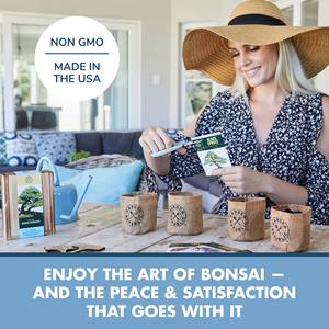 Kit d'arbre bonsaï <span class=keywords><strong>de</strong></span> rebord <span class=keywords><strong>de</strong></span> fenêtre ensemble <span class=keywords><strong>de</strong></span> jardinage d'intérieur en bois avec visionneuse <span class=keywords><strong>de</strong></span> racines pour la conception artificielle décorative <span class=keywords><strong>de</strong></span> la fête des pères - Product Image 3