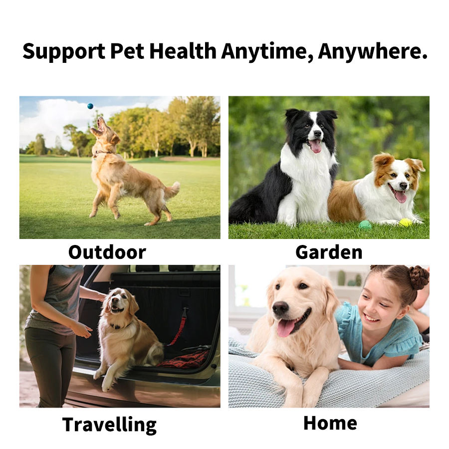 Private Label Hypoallergenic Deodorizing Pet Cleaning Wet Wipes for Dogs and Cats - phonenumbergener