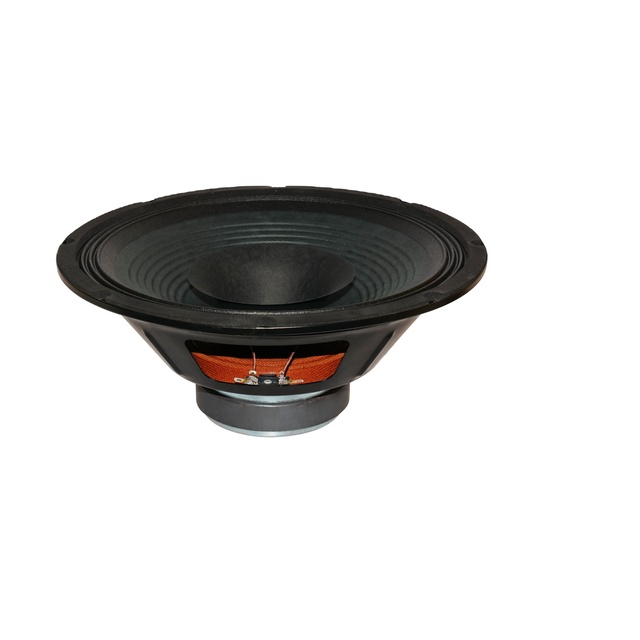Witweet 12 Inch 200W Large 8 Ohm Speaker Size for Amplifier OEM Custom Model 01