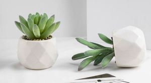 Mini Suculentas Artificiales de Alta Calidad, Simples, de PVC, Portátiles, para Decoración, Pequeñas Plantas en Maceta, Regalos Promocionales de Negocios - Product Image 6