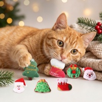 Zoyi Pet - Sac cadeau de Noël très populaire - Ensemble de jouets pour chat - Accessoires multiples - Jouets interactifs pour chatons d'intérieur