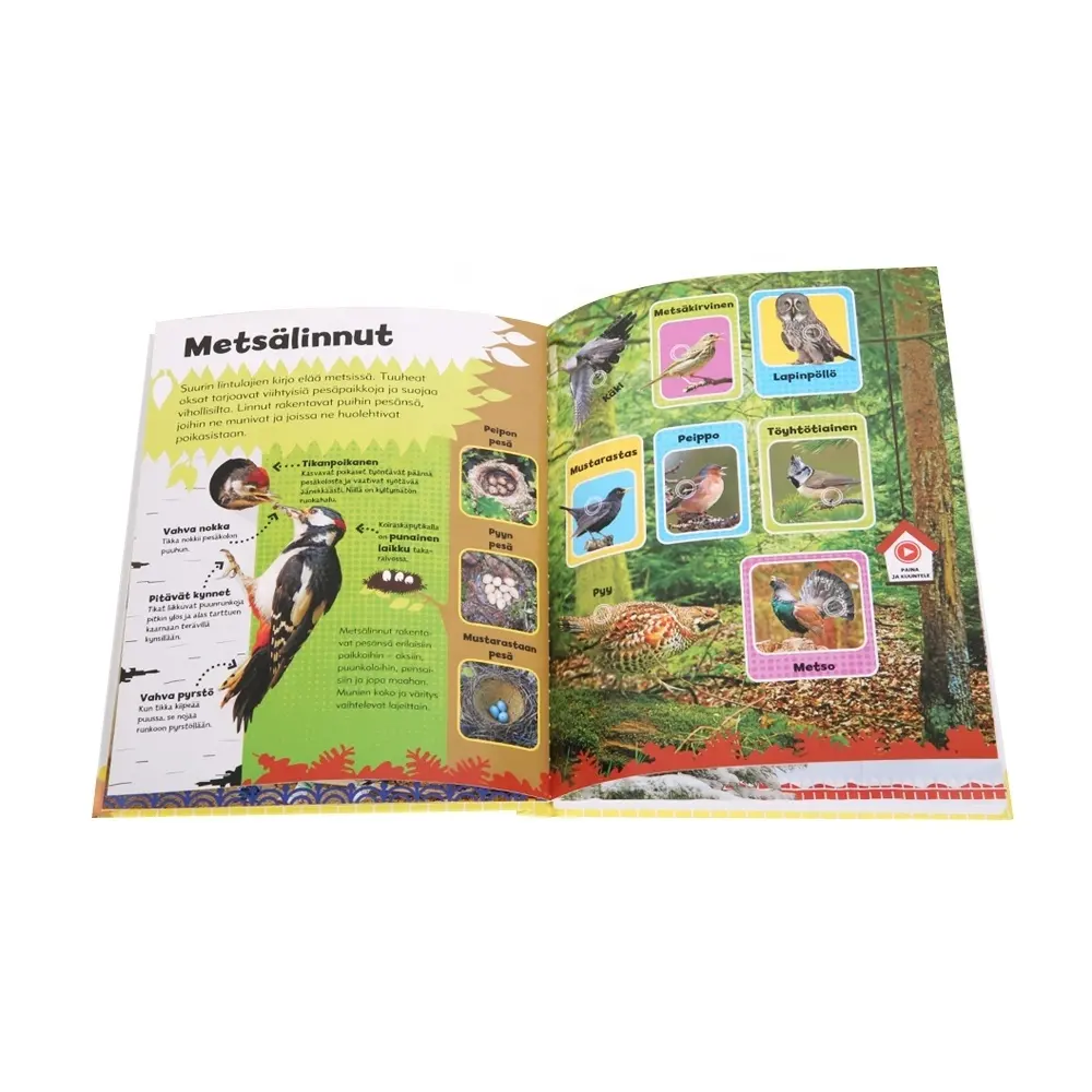 Livre de planche de son OEM en gros, des animaux incroyables jouent un son tactile et agréable, livre de son interactif pour les enfants d'âge préscolaire