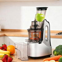 Eenvoudig Te Bedienen Automatische Thuis Multifunctionele Lage Snelheid Vers Fruit Juicer