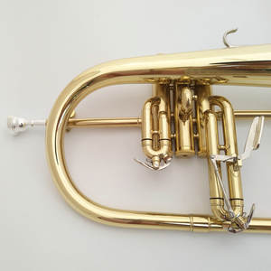 Rendimiento profesional Principiante B-Flat Trompeta Frugalhorn Instrumento de superficie de laca dorada de tono de latón - Product Image 2