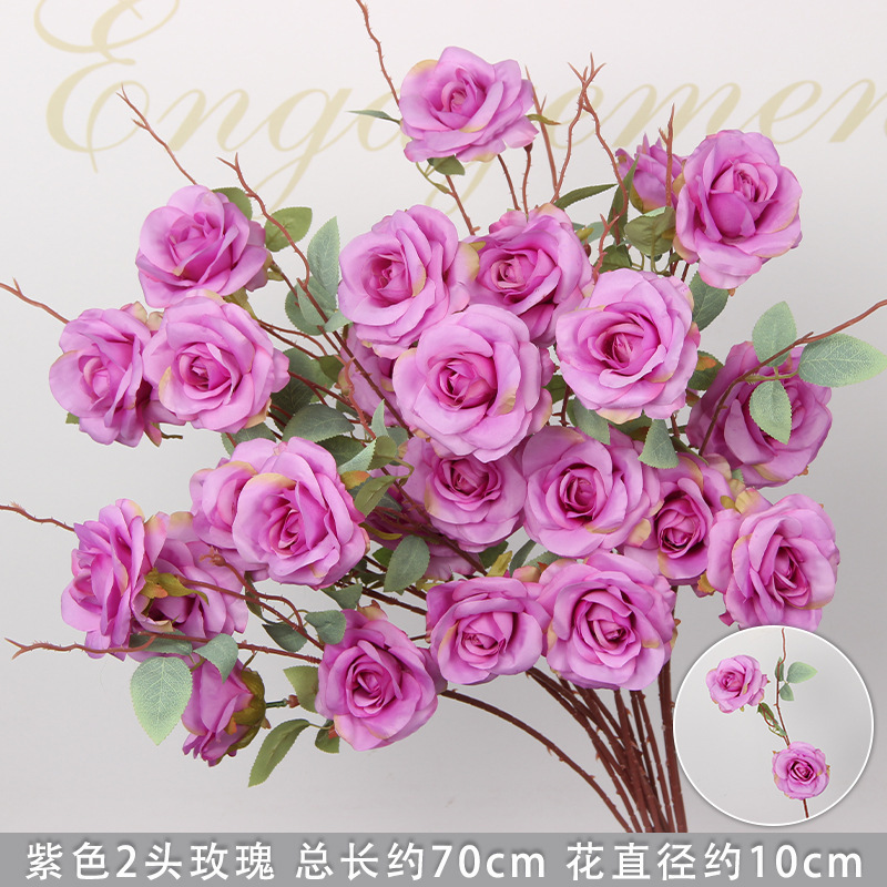 Rose Fendera violette à deux têtes