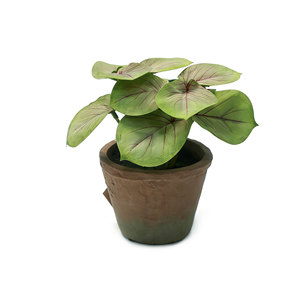 ต้นคาลาเดียมประดิษฐ์รูปทรงลูกศรในกระถางปูน ต้นไม้ประดิษฐ์เสมือนจริงสำหรับตกแต่งบ้านและเป็นของประดับตกแต่งกลางโต๊ะ - Product Image 2