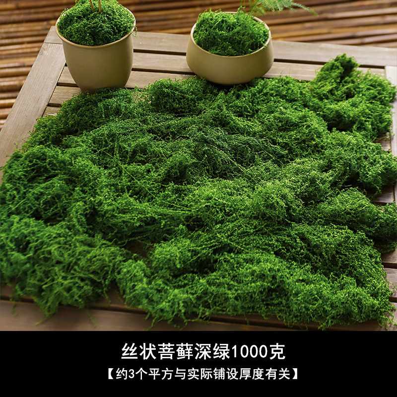 [Mejorado] Musgo Filamentoso, Verde Oscuro, 1000g