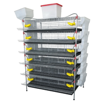 Poulailler de type H de grande capacité en acier galvanisé pour cailles pondeuses avec système de ramassage automatique du fumier et structure en grillage durable