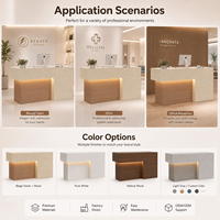 Comptoir de réception minimaliste moderne sur mesure pour bureau ou salon avec éclairage LED et armoire de rangement