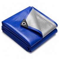 Bâche en polyéthylène avec protection UV, tissu plastique en feuille de taille standard pour couverture agricole/industrielle