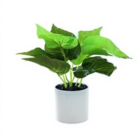 Offre Spéciale : Plante Artificielle en Pot de 34 cm, Feuilles Vertes Réalistes, Pot Blanc, Prix de Gros, OEM Personnalisé en Gros, Expédition Mondiale Rapide