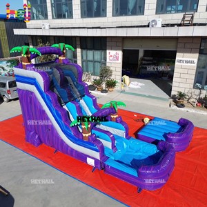 Toboggan aquatique <span class=keywords><strong>gonflable</strong></span> Heyhail Slide Tropical Palm avec <span class=keywords><strong>piscine</strong></span> et butée pour enfants et adultes - Product Image 6