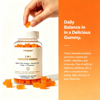 Gummies probiotiques au vinaigre de cidre de pomme avec vitamine B12, Amla et L-Théanine pour la digestion et la réduction du stress corporel