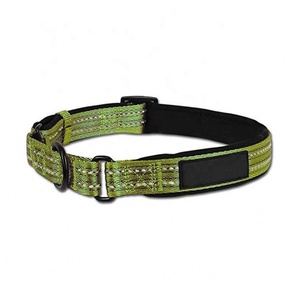 Adventure <strong>Martingale</strong> <strong>Dog</strong> <strong>Collar</strong> With Reflective Stitching Neoprene Padding - Product Image 2