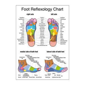 Poster su tela con stampa di anatomia umana - <span class=keywords><strong>Arte</strong></span> da parete educativa ad alta definizione, decorazione centrale senza cornice - Product Image 6